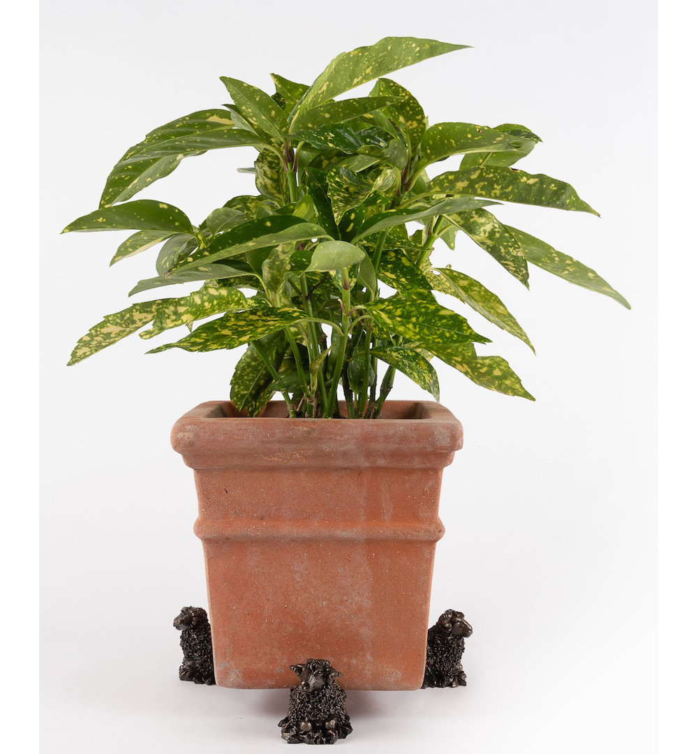 Sheep Bronze Coloured Planter Feet In Gift Box (Set of 3) Jardinopia