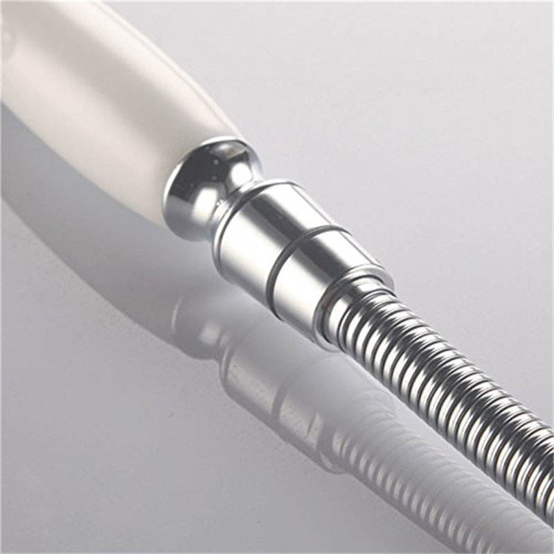 Chassidy Handheld Shower Head
