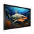 Black Single Picture Framed