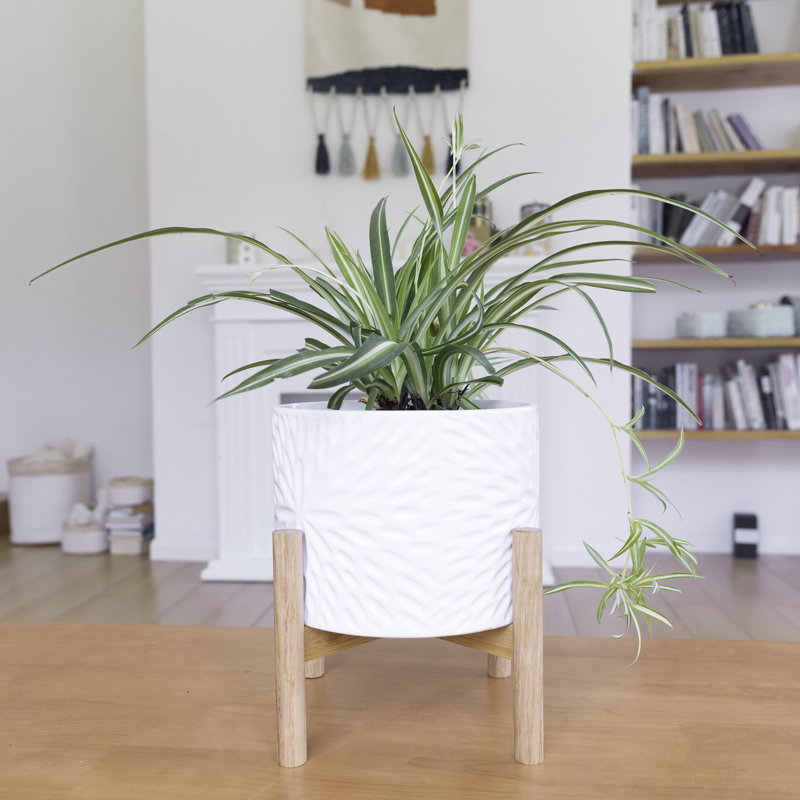 Elayna Ceramic Planter with Wood Stand, 9.7" H x 8" W x 8" D, White