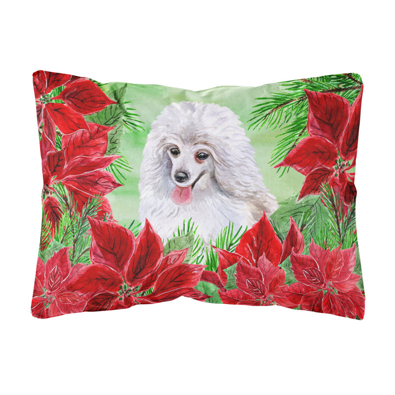  Coussin décoratif intérieur / extérieur moyen Poodle Poinsettias