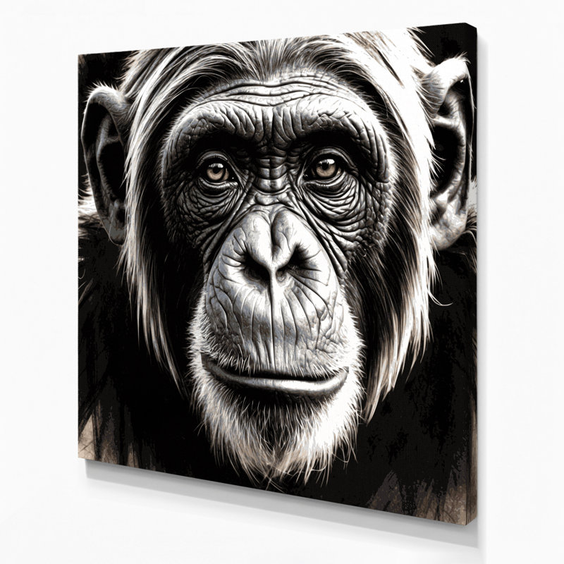 Faune, art mural noir sur toile chimpanzé, H 12 po x l 12 po