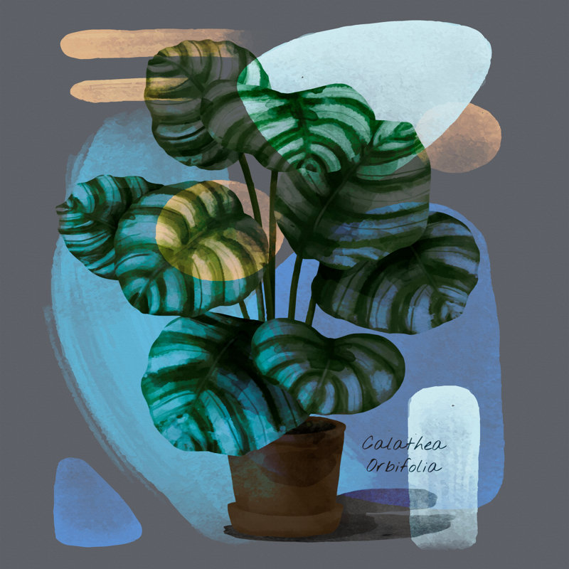 " Abstract Calathea Orbifolia " Painting Print, 36" H x 36" W x 1.5" D