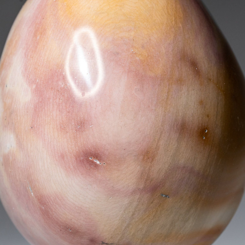 Véritable œuf polychrome poli de Madagascar (1,3 lb)
