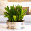 Vasos E Centros De Mesa Metal Planter-985381069