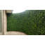 1.5 ft. H x 1.5 ft. W Artificial Moss Fence Panel