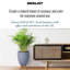 Multi-Directional Striped Egg Planter with Feet-590648295-590648294