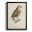 «French Owls I», impression sur papier-1832933970-1832933971