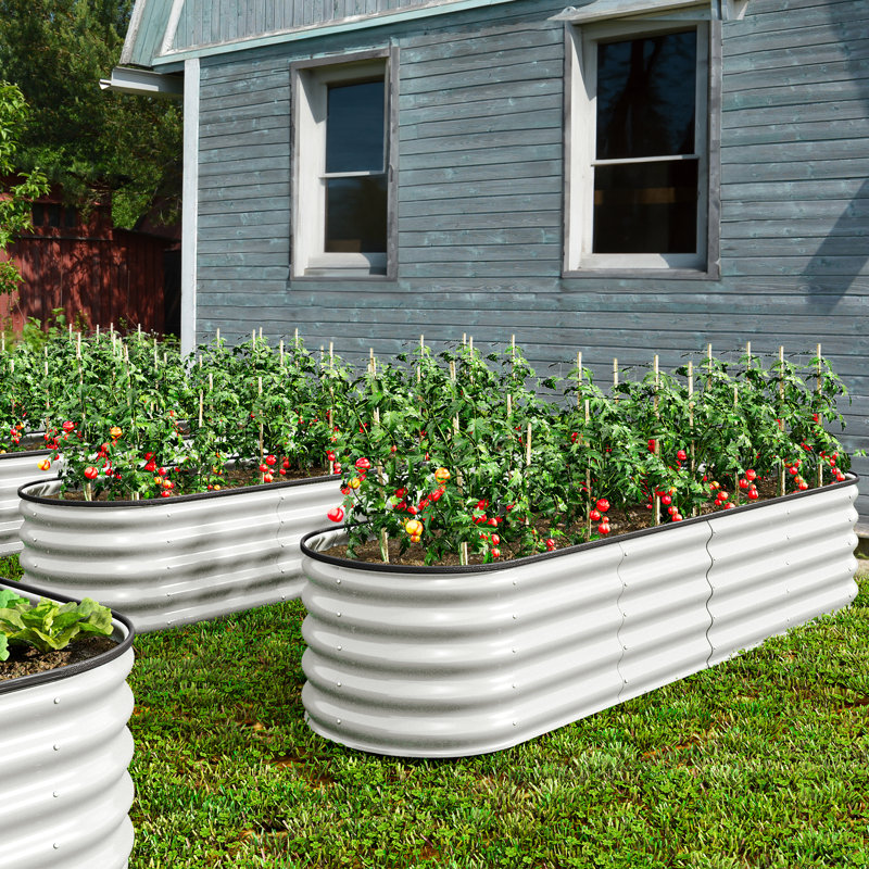 Metal Raised Garden Bed,240x61x43cm, White