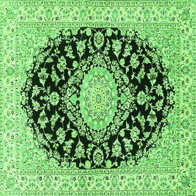 Masoud Performance Floral Indoor Rug
