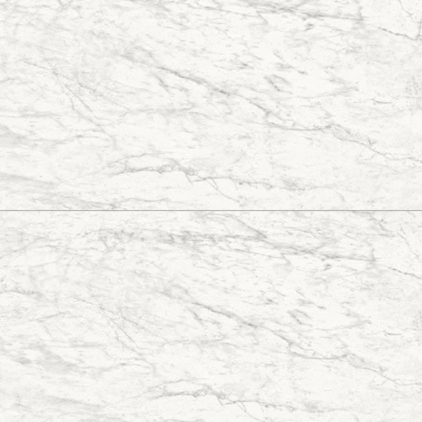 Frost 24X48 Carrara
