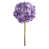 Purple/Lavender