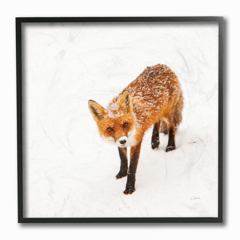 « red fox winter snow animal », impression, Giclée encadrée noir minuit, H 12 po x l 12 po x P 1,5 po