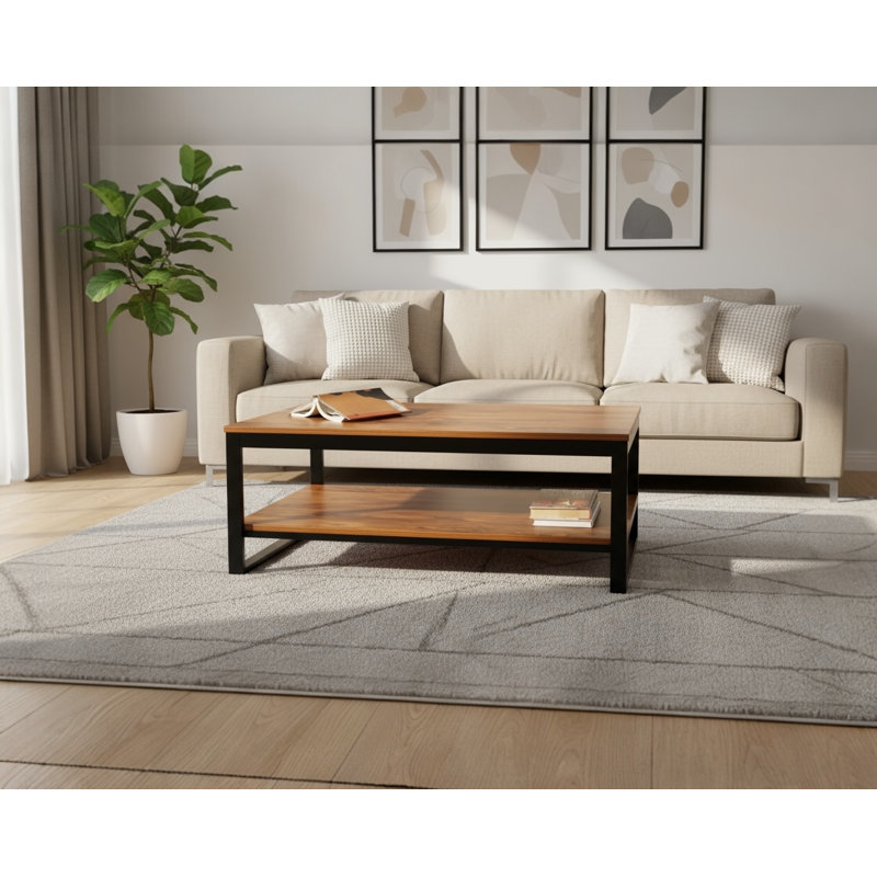 Table basse avec rangement Frame