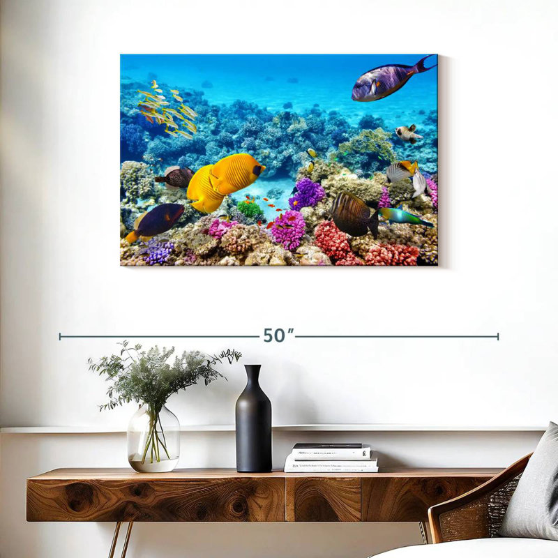 Ocean life Aletra, H 24 po x l 36 po