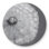 Dandelion Puff Ball Rug | Botanical Hyperrealist Outdoor Decor