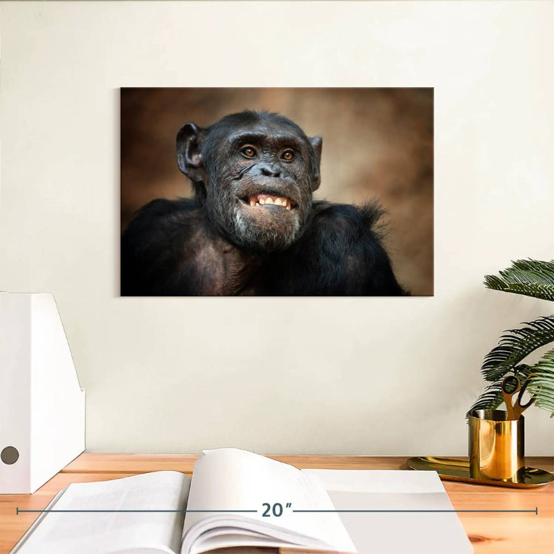 Funny Chimpanzee, 8" H x 12" W