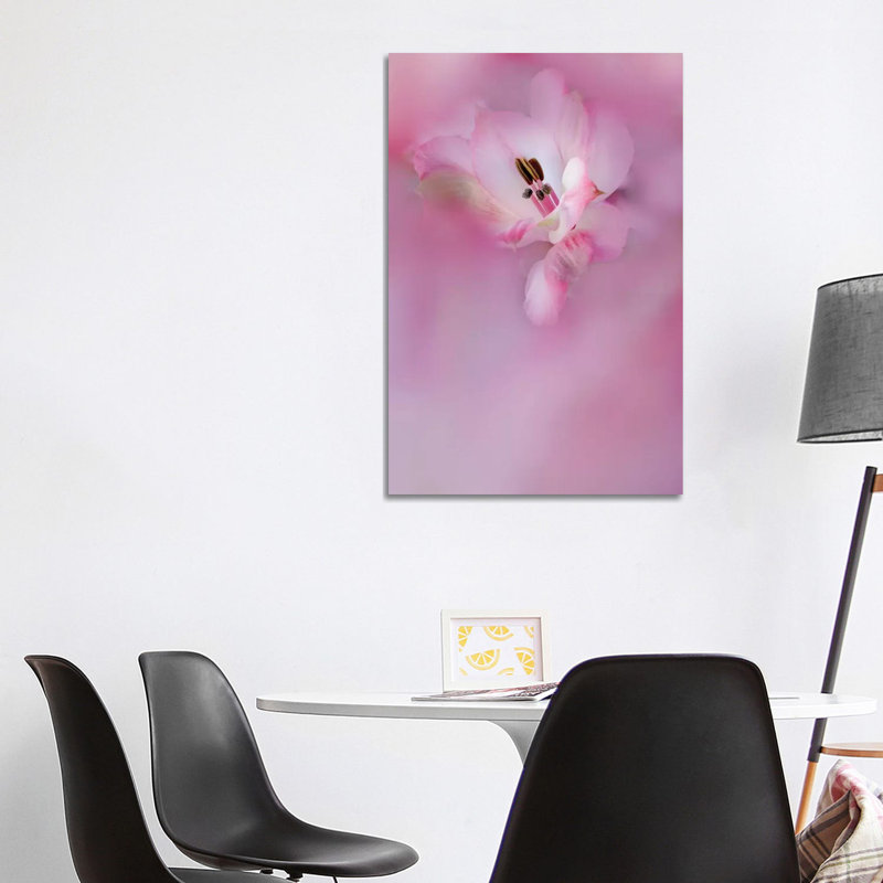 Usa, California. Close-Up Of Alstroemeria Flower. by Jaynes Gallery - Wrapped Canvas Print, 101.6cm H x 66.04cm W x 1.91cm D