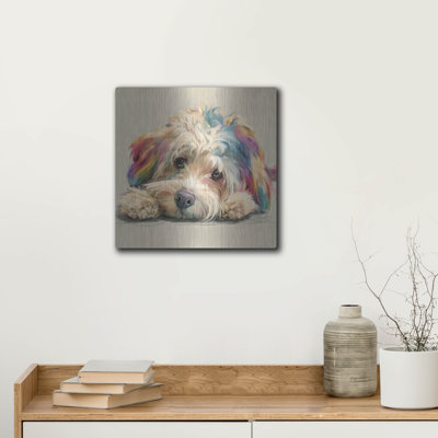  'Rainbow Havanese - Puppy Eyes' by Ann Klee Metal Wall Art, 12" x 12"
