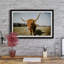 Wide Horns - Single Picture Frame Print-2096652510