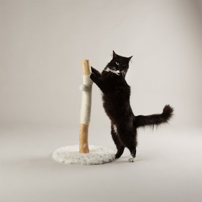 Scruffs Rockies Cat Scratching Tree