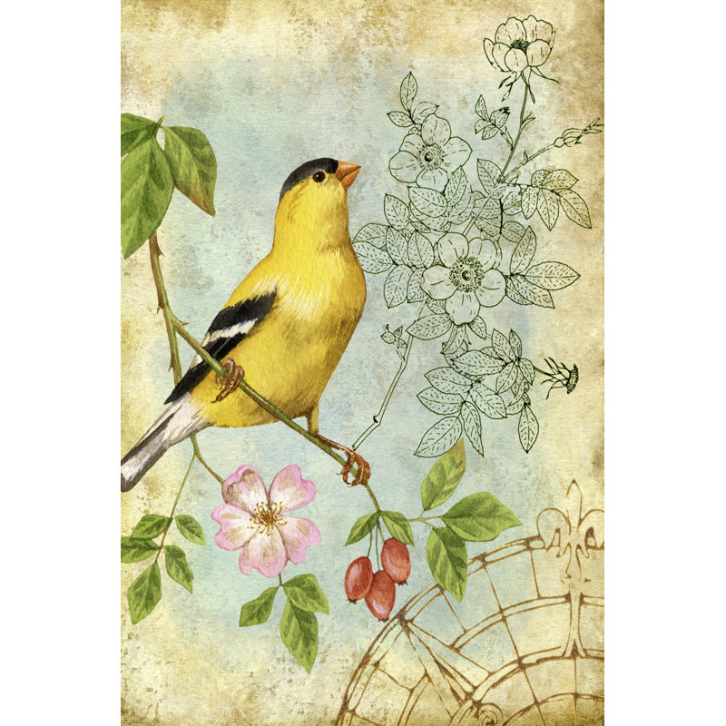 Carnet de croquis Songbird III, H 12 po x l 8 po x P 1,25 po