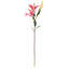 37-Inch Lily Stem