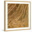Single Picture Frame Print-28219594