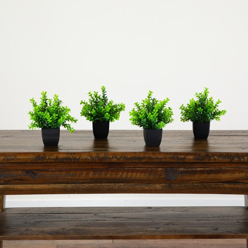 8 po Buis artificiel en pot carré noir - ensemble de 4, 6in