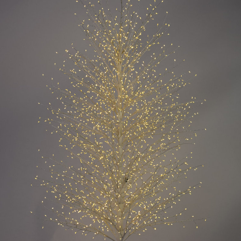 Birch Tree with Warm White LED Lights, 70.86" H x 20.8" L x 20.8" D, White