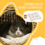 Elevated Design Wicker Cat House with Washable Cushion Light Brown