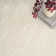 Delaphine Performance Indoor Rug