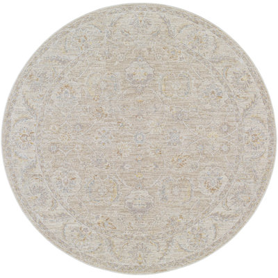 Oriental Indoor Rug