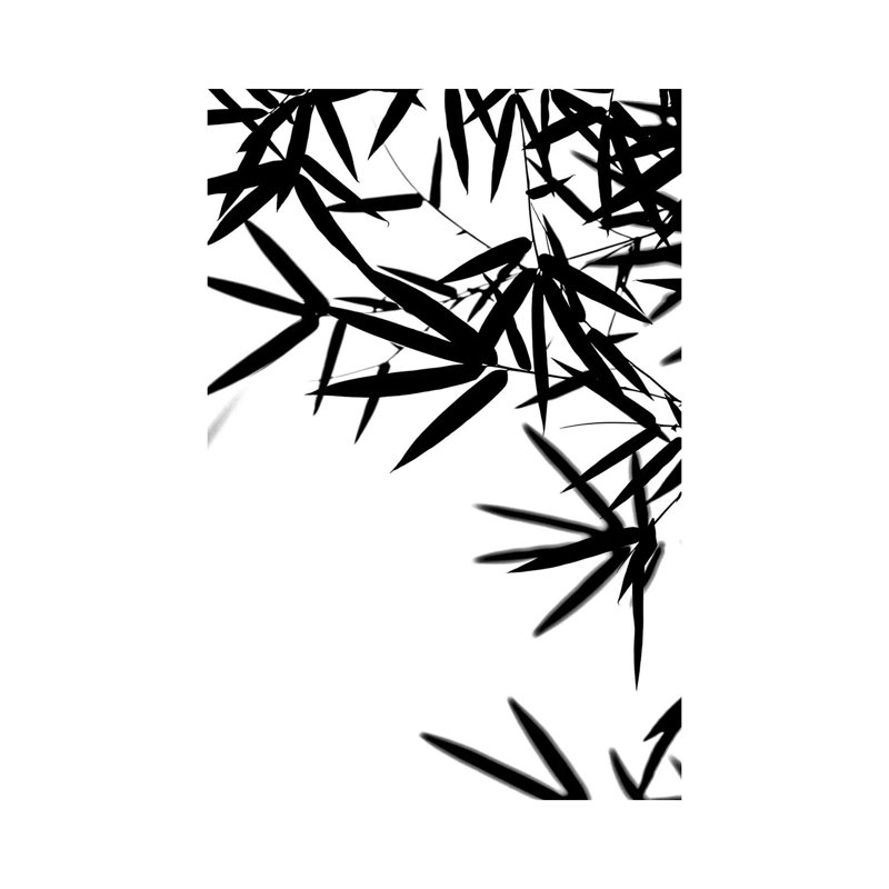 Bambus Leaves Black by Monika Strigel - Wrapped Canvas Print, 101.6 cm H x 66.04 cm W x 3.175 cm D