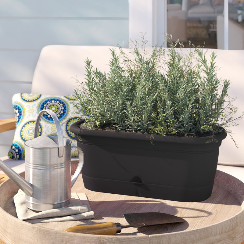 Lucca Self-Watering Plastic Indoor/Outdoor Oval Window Box Planter with Watering Basin, Black
