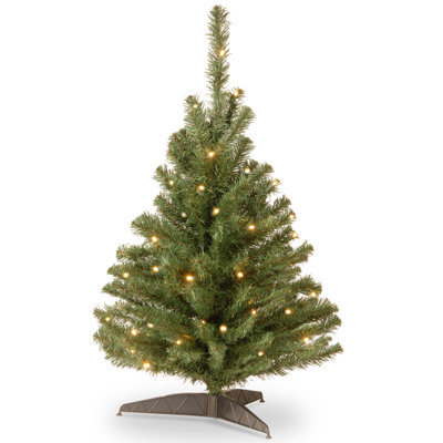 The Holiday Aisle® 3ft. Kincaid Spruce Tree with Clear Lights
