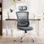 Chaise de bureau ergonomique en filet avec accoudoirs relevables Inbox Zero-2134407890