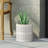 Durable and Stylish Planter for Enhancing Garden Aesthetics-593590873