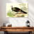 Brampt Wild Turkey-108159183