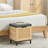 Amdan Shoe Storage Box