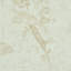 Papier peint Baudin Butterfly-51857357