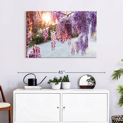 Harnek Wisteria Vine