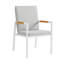 Fauteuil de salle à manger de patio avec coussin Urgeon-56436452-56436453