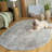 Royalston Performance Oriental Rug-112545582