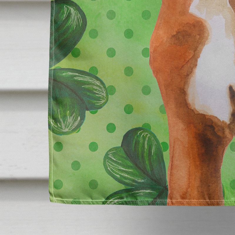 40 x 28 po en polyester à 2 côtés de la st patrick drapeau maison, Boxer brun