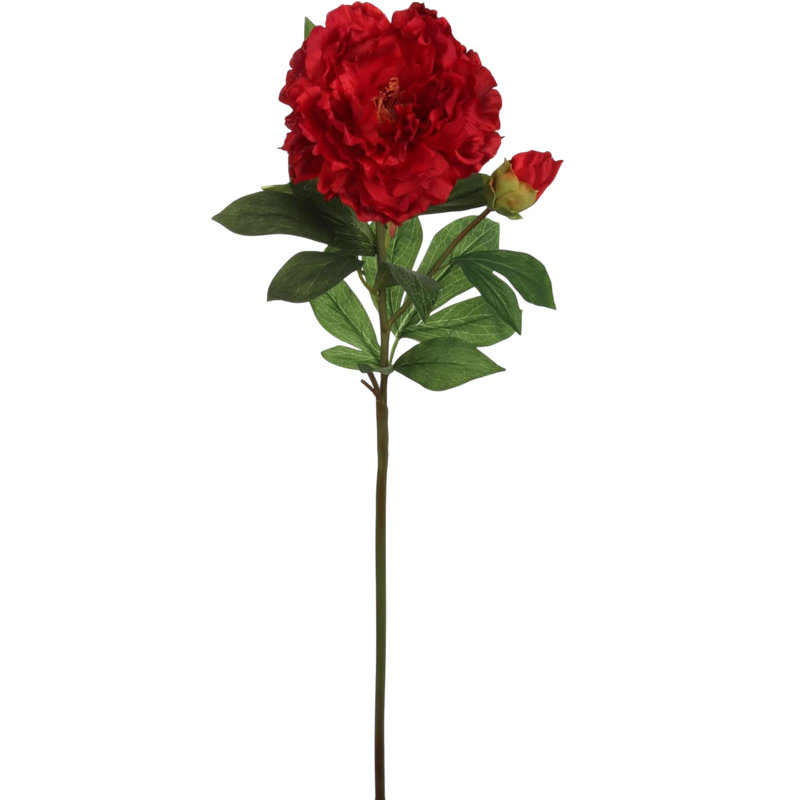 4pc Red 30" Peony Stem