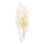 GENOA Wall Sconce