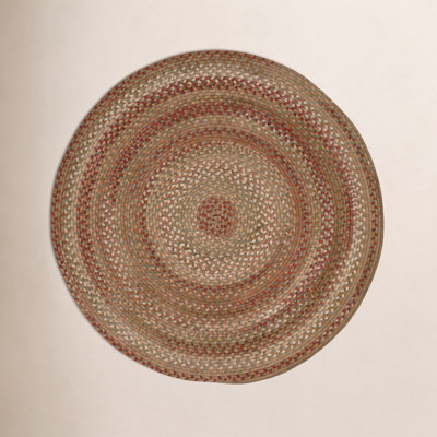 Michal Gladys Braided Striped Red/Brown/Green Area Rug