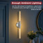 Éclairage pour salle de bain 2 lumières DEL à intensité variable-1790494198-1791040300-1790494197
