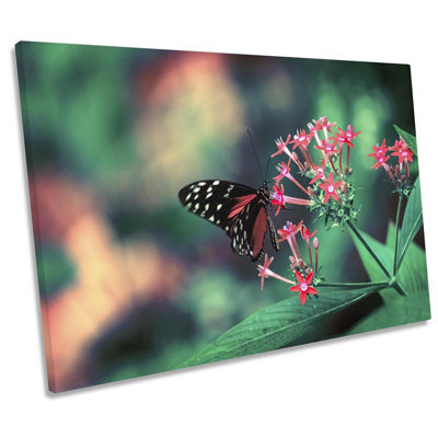 Z0427 Butterfly Flower - Wrapped Canvas Print